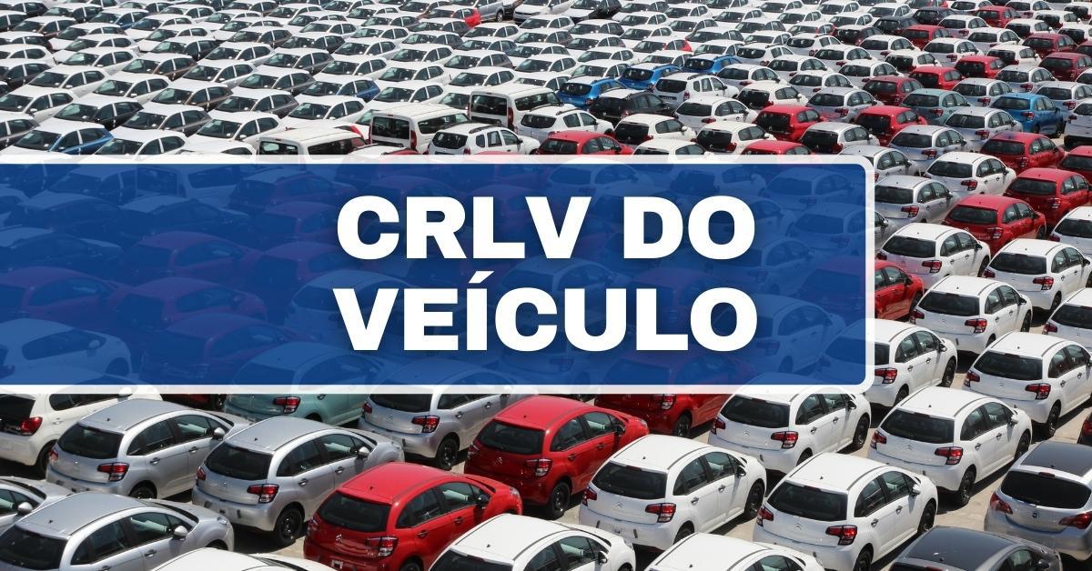 Che cos'è il CRLV di un veicolo e che differenza c'è tra CRV? Capisci qui