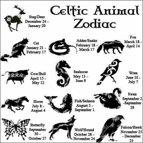Scoprite quale animale rappresenta ciascun segno
